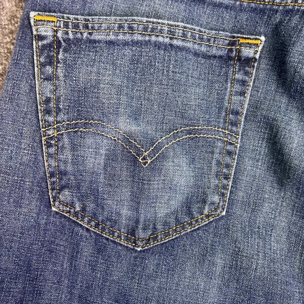 Levis levi 569